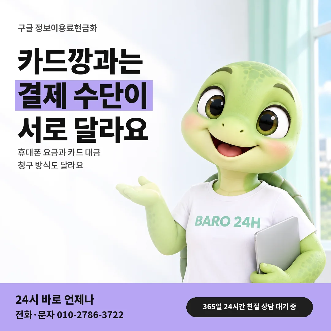 BARO 24H 티셔츠를 입은 3D 거북이 캐릭터 옆에 「구글 정보이용료와 카드깡 차이」 제목을 얹은 안내 카드